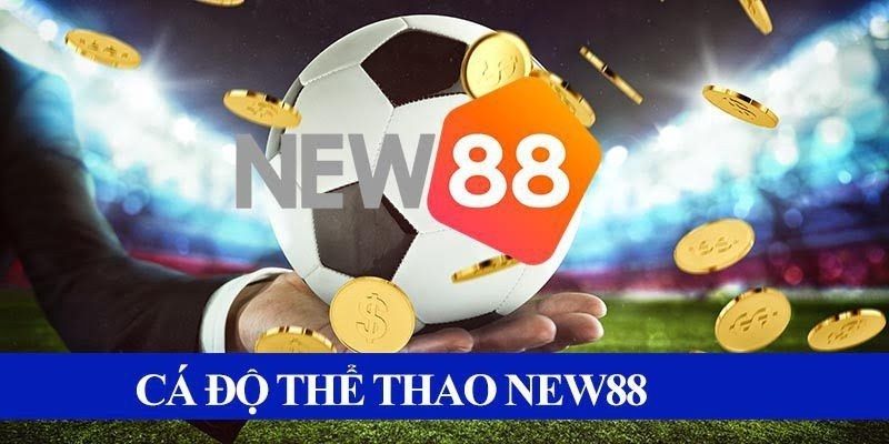 Giới thiệu về sảnh thể thao tại New 88 kịch tính